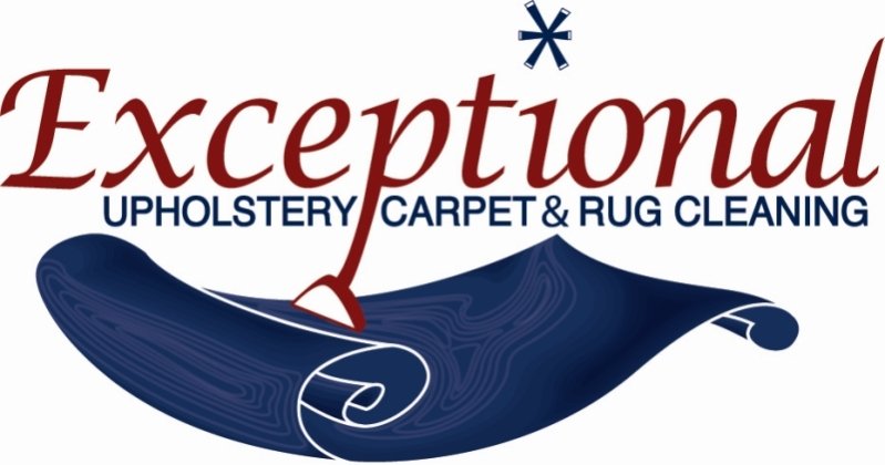 Exceptional Upholstery Carpet and Rug Cleaning